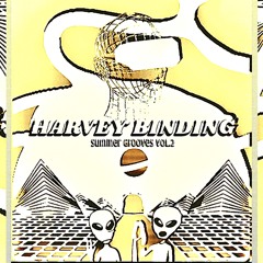 Summer Grooves [VOL.2] [Harvey Binding]