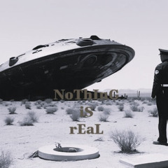 NoThInG iS rEaL