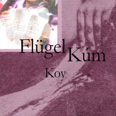 Flügel Kúm - Koy
