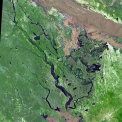 (Demo) PEACE IS POWER (Dedicated to Sung-ae)