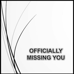 UFS - Officially Missing You