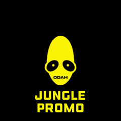 Jungle Promo mix