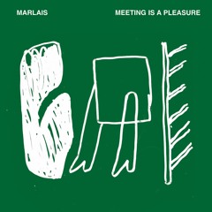 Meeting Is A Pleasure
