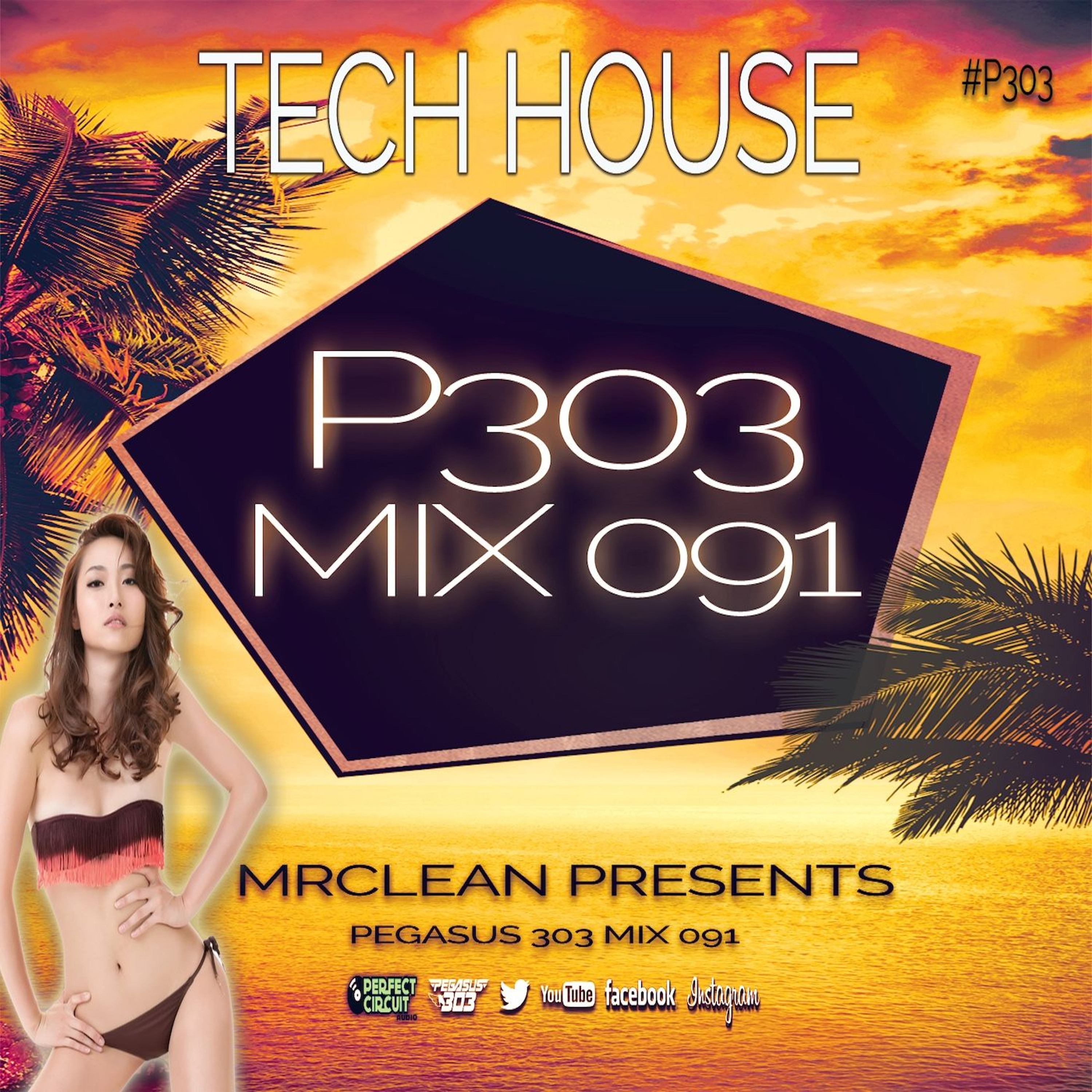 Pegasus 303 (mrclean)