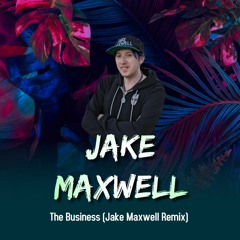 DJ Tiesto - The Business (Jake Maxwell Remix)(Preview)(Free Download)