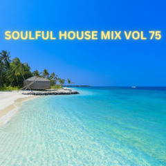 SOULFUL HOUSE MIX VOL 75