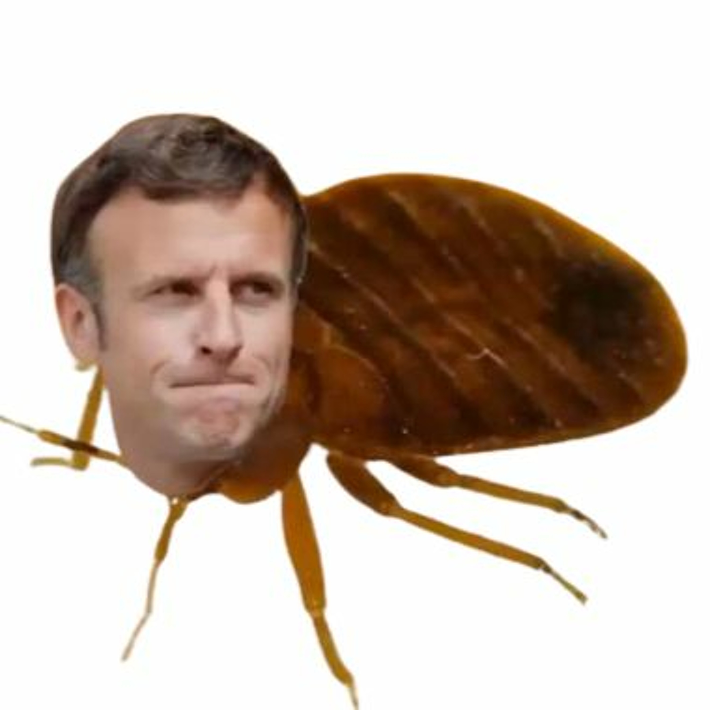 parodiestv1
