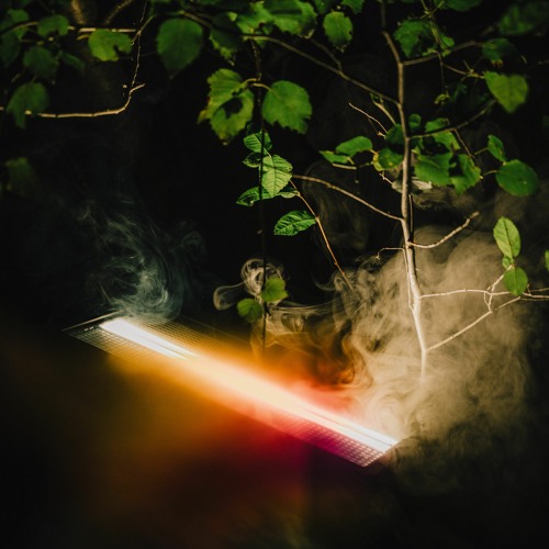 dBridge B2B Ehua at Draaimolen Festival 2023