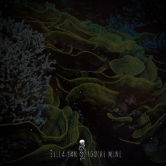 PREMIERE: Zilla Yan – You’re Mine [  FAWNA ]