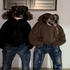 D13T_C0K3 PA LXS REALES