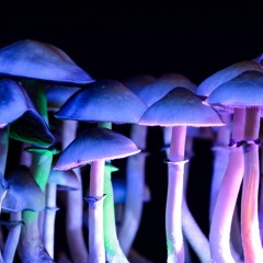 Psilocybin and depression - Extended interview