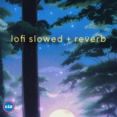 lofi beats [slowed + reverb]