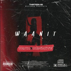 Waan It (ft Brigante)