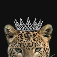 i'D live In lonEly storM🐣