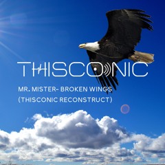 Mr Mister- Broken Wings (THISCONIC Reconstruct)