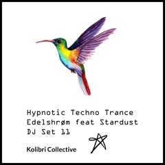 Hypnotic Techno Trance - Edelshrøm feat Stardust - DJ Set 11