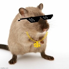 Bad Hamster