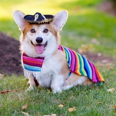 BXHRP MIX ROUTINE VOL. 1