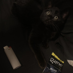 fourr (slayedthishit / revisitingearth)