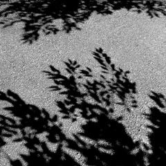 LØSŦ_ËGØ [DEMO]