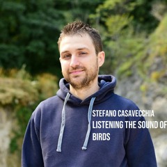 Listening The Sound Of Birds