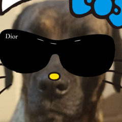 Slide towards vacation