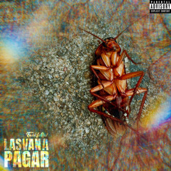 Las Van a Pagar