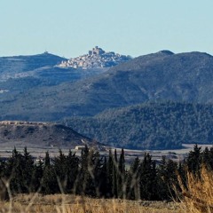 Mi Vida En El Campo