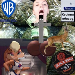 Warner Bros Freestyle