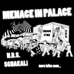 ParaSpectrum Live @ Menace in Palace Free Party N.B.S. & Schakali Soundsystem 27.06.2025