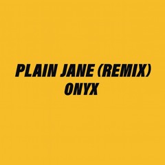Plain Jane (Remix)