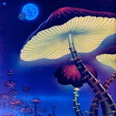 Confused Dream