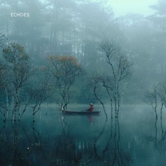 ambit. - echoes