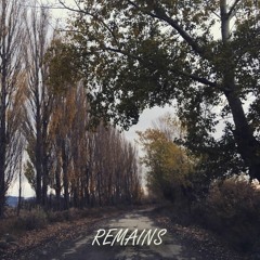 Remains (Remix)