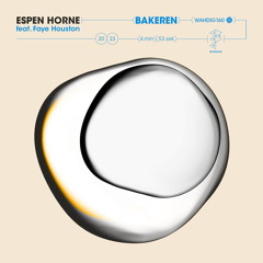 Bakeren (feat. Faye Houston)