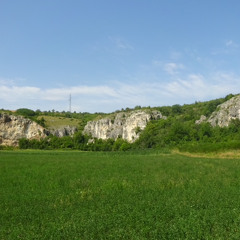 nr.1 - krasenkiddis / 26.6.2024