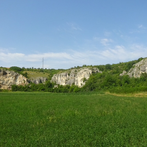nr.1 - krasenkiddis / 26.6.2024