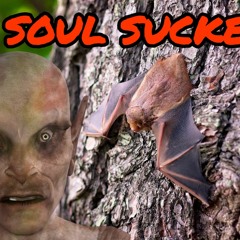 Soul Suckers Audio