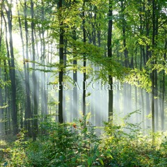 Let's All Chant (Extended Version)