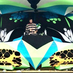 Set Bass Groveezeira  (5)