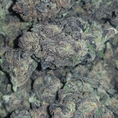 Slinks - Kush *FREE DOWNLOAD*