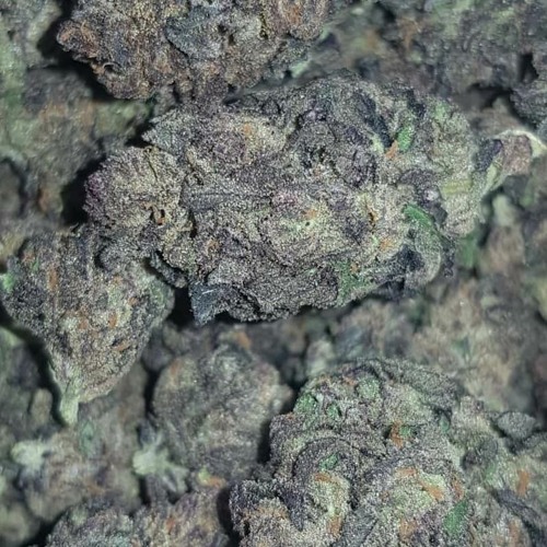 Slinks - Kush *FREE DOWNLOAD*