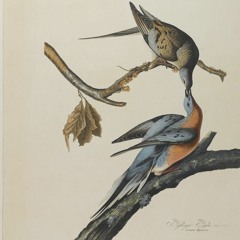 A B D B T C H S S S X X X M S S S / / / F T · B L L Y K  L V Я / /  L J И D L N D / / C ЯI Ѧ D Ø