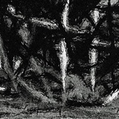 PAKHREKES (Ft. Onimetsu)