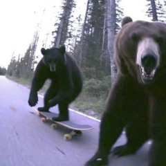 bear. @m. (vs. S1icko) #east