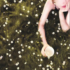 cupsize-4 телки (снипет)