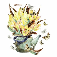 The Soulcast 016 with Somelee