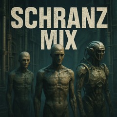 SCHRANZ MIX 160 BPM - Svetec, Kobosil, Noise Not War, Buchecha