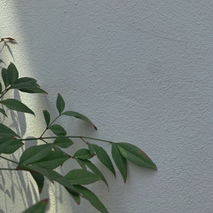 기다림과(patience)