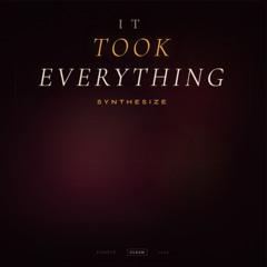 It Took Everything